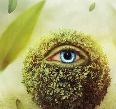 高速云端下载的DDOS网页端源码