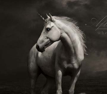 自动升级更新的ddos攻击在哪能买到