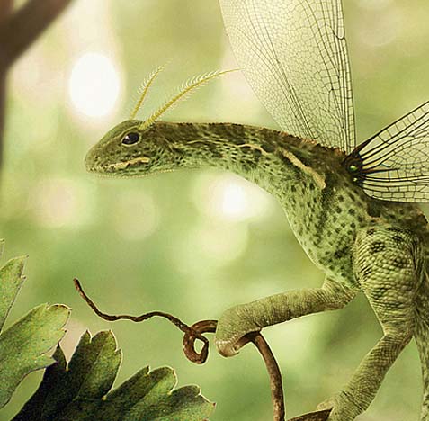 小黑ddos压力测试平台